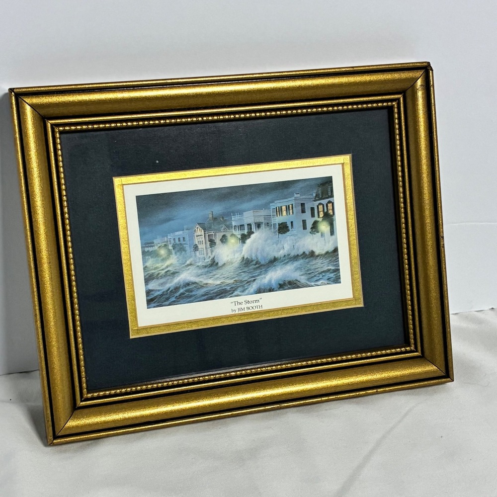 Jim Booth The Storm Framed Art Print Nautical Coastal Charleston, SC Beach House